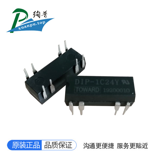 DIP-1C24Y